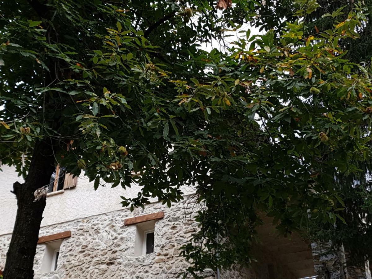 Villa Pura Vida Saint-Martin-Vésubie Exteriör bild